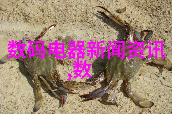 建筑之梦承诺与铸就