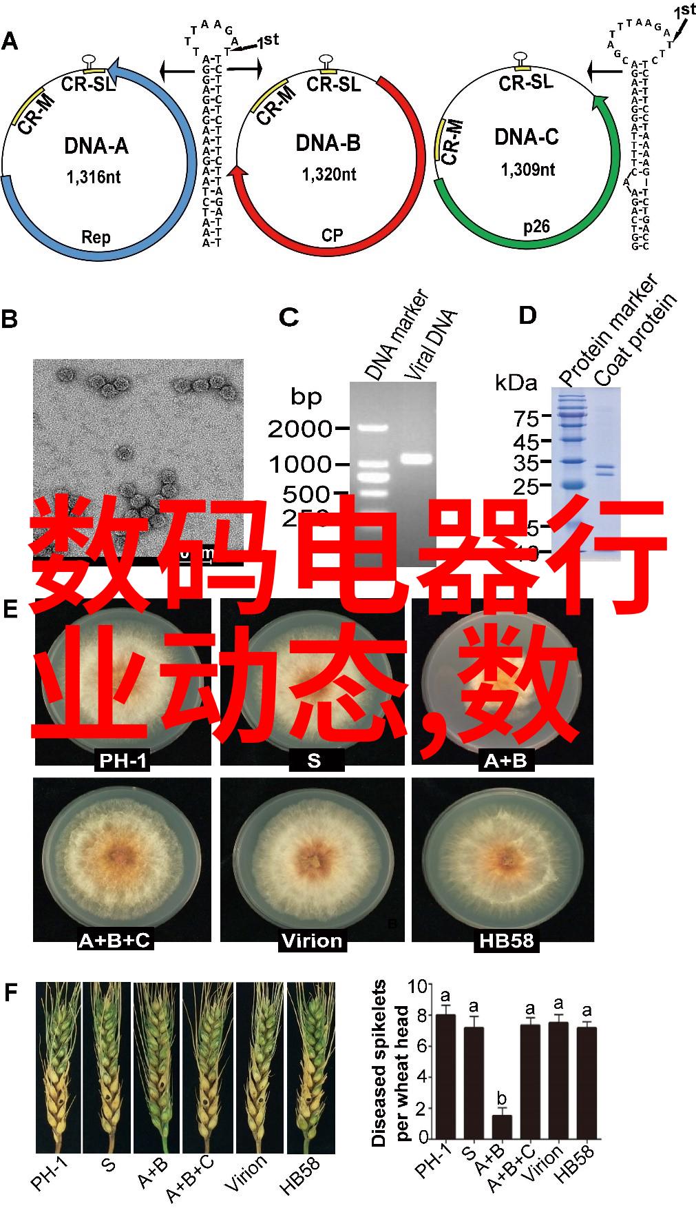 mvr蒸汽压缩机工作原理探究从热力学基础到实用应用