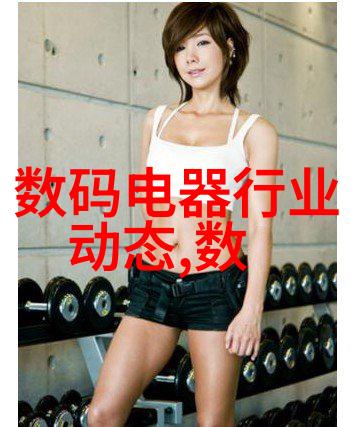 工程之谜揭开建设项目管理的神秘面纱
