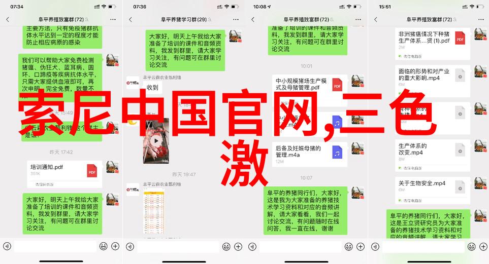 冷冻小冰柜-保鲜至上如何高效运用冷冻小冰柜的每一寸空间