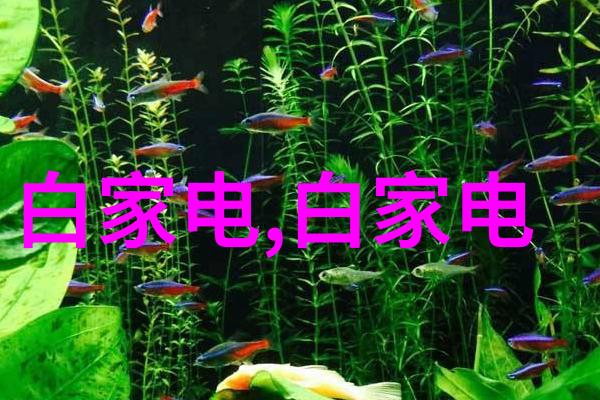 电动牙刷超级快高效清洁