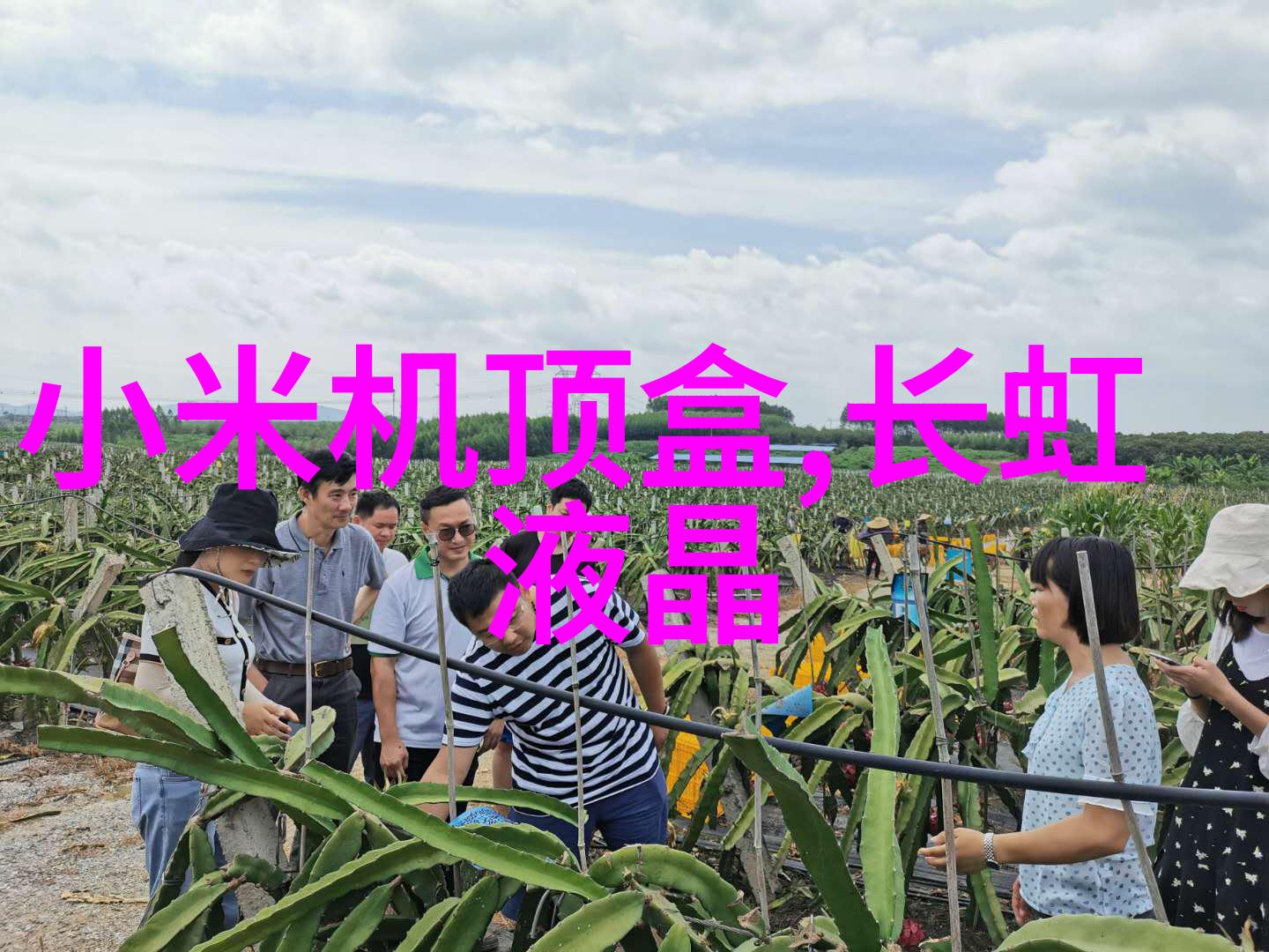 探索电工电子实验室设备精准测量与创新技术的交汇点