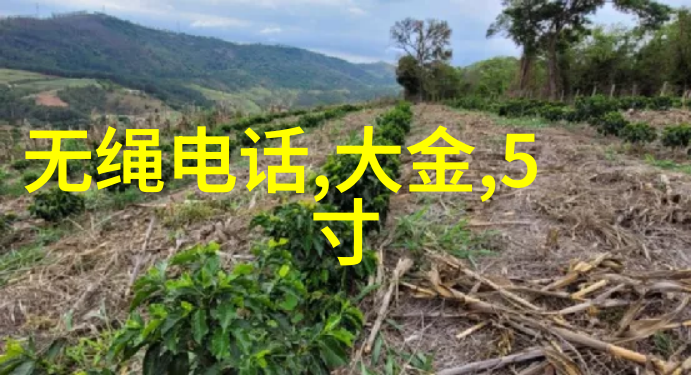 长生界全文阅读-永恒之书揭秘长生界的神秘篇章