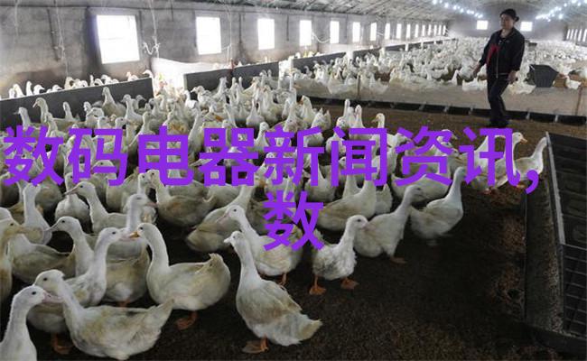 城市的脊梁道路工程的辉煌与挑战