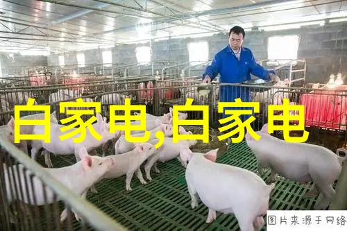 固定床反应器的工艺流程优化与应用实践