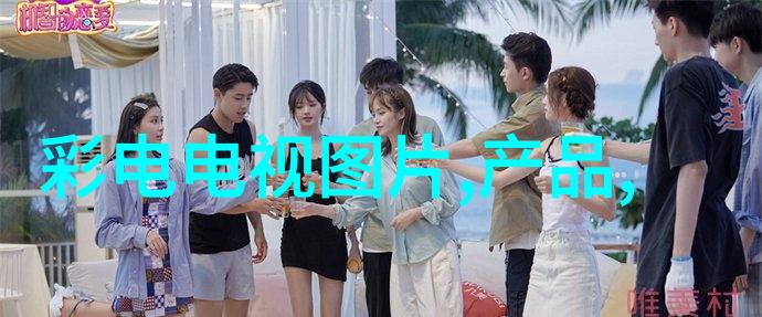 脉冲除尘器我是如何用它来清理家里的灰尘的