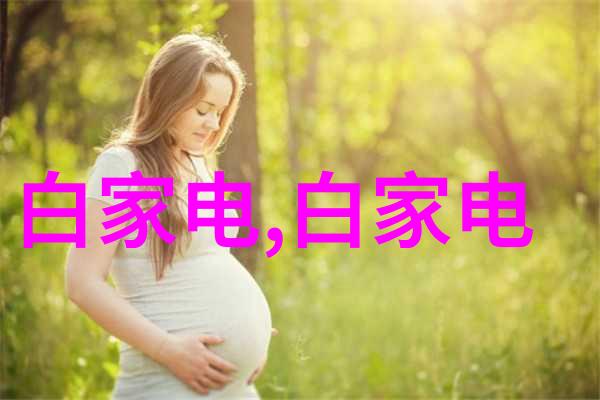 汽化器在制药行业中的作用及其挑战