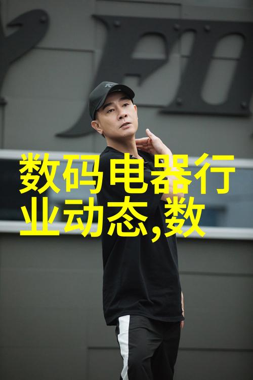 卧式粉体混合机设备之谜它究竟是如何在不起眼的角落中精准调配每一粒粉末的秘密