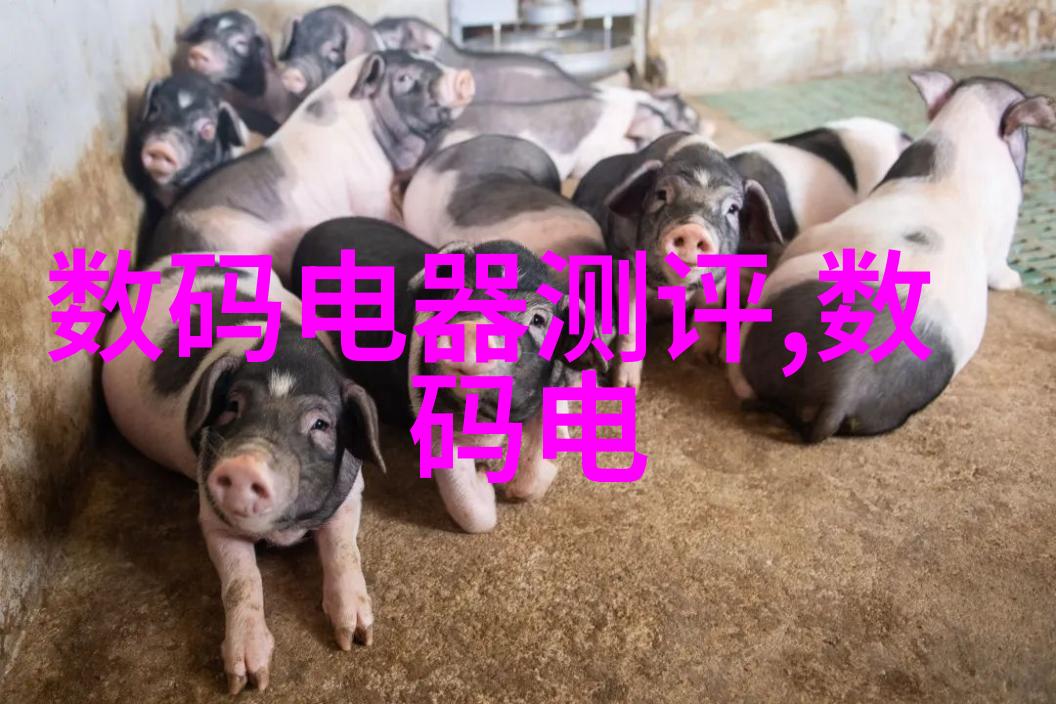 不锈钢规整填料尺寸-精准测量确保材料优质使用