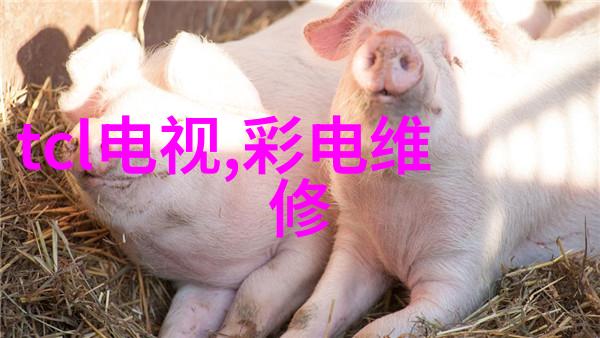 空气分离二氧化碳设备我是怎么在家里用它让生活更绿的