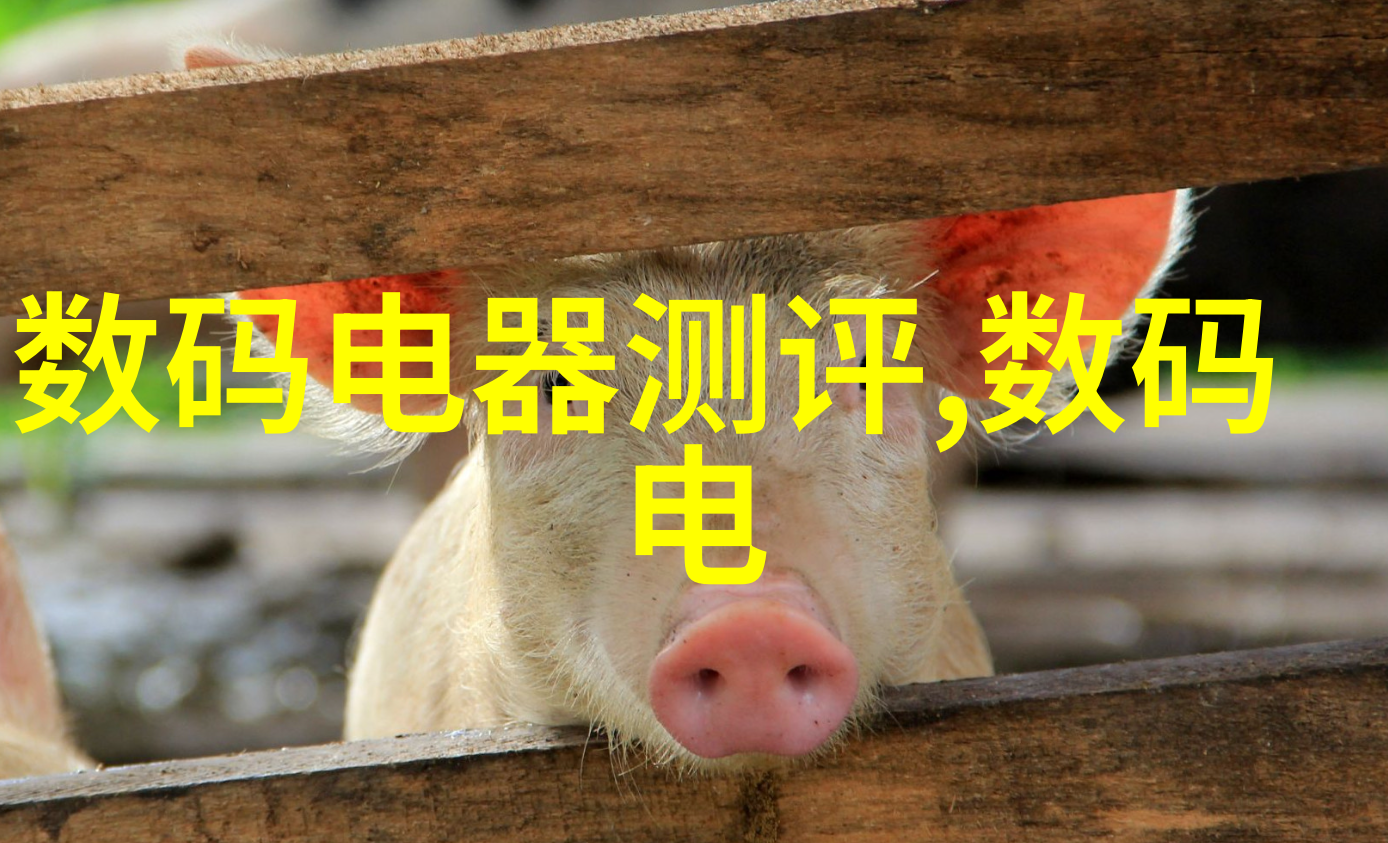飞燕惊龙古老传说中的勇敢侠客与神秘巨龙的奇遇