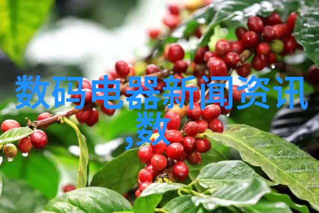 主题-中国芯片产业的腾飞与挑战从国产替代到全球竞争力