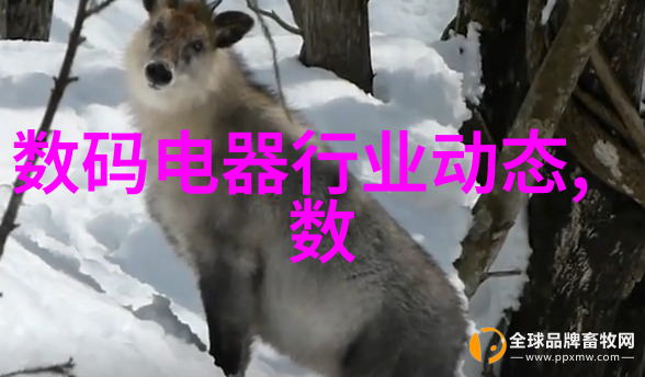 不锈钢的多样性探究其种类与应用