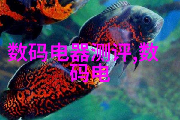 如何提高摄影技术美空摄影网教你如何提升拍照技巧捕捉精彩瞬间