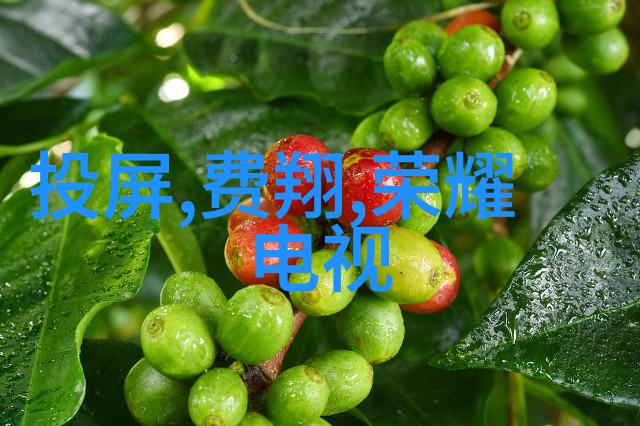 不锈钢材料概述了解常见类型与应用场景