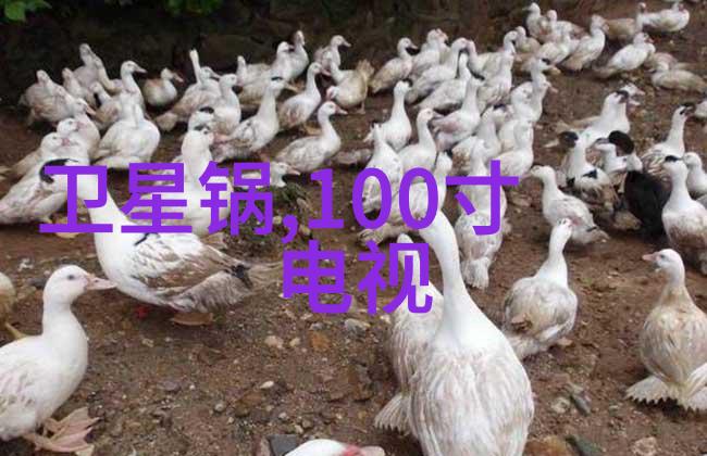 制冷设备厂-冰点效率探索现代制冷设备厂的创新与挑战