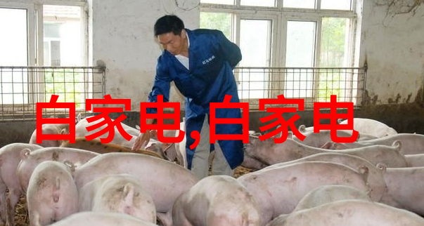 生物填料在现代建筑中的应用与优势