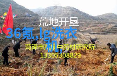自制不锈钢工艺品图片-铸就独特之美手工不锈钢艺术品的创作与展示
