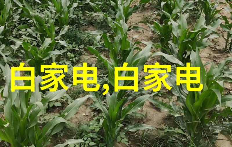 水质检测中的TDS含量与饮用水质量的关系探究