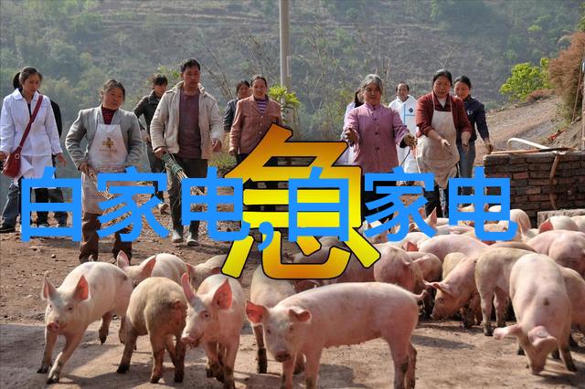 输送机械设备-高效运输解决方案提升物料传输效率的关键技术