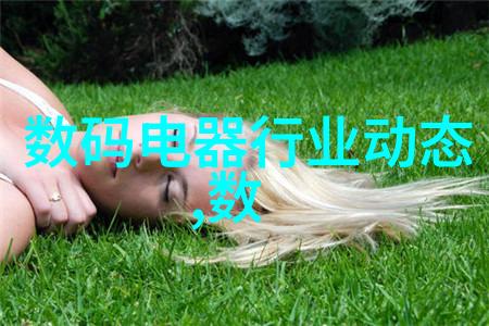 水质检测的严格守护者揭秘tds标准之谜