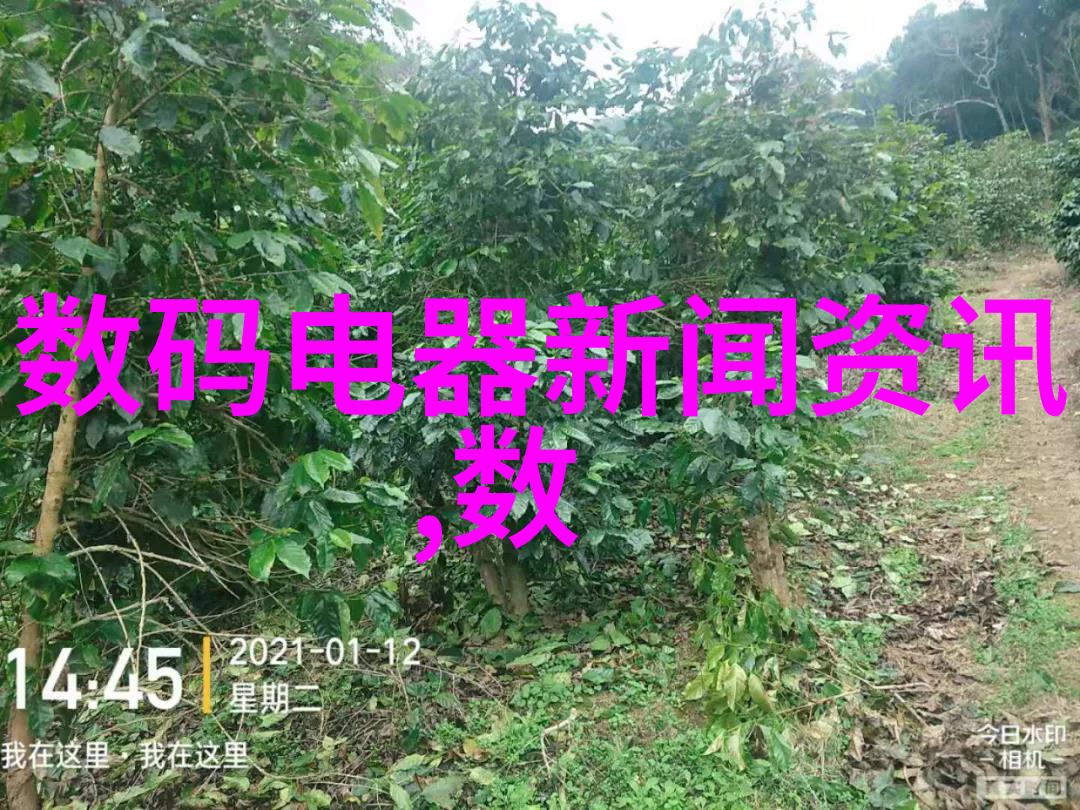 膜分离技术的发展历程及其在现代工业中的重要性