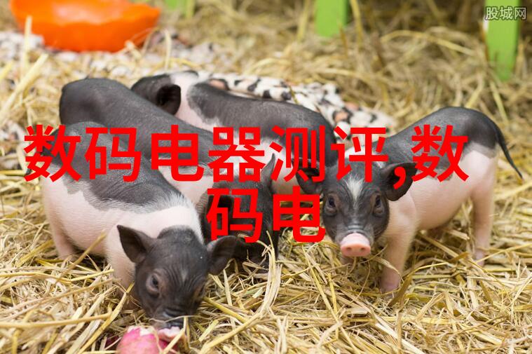 家用水质检测指南揭秘家庭饮用水安全检查的必备步骤