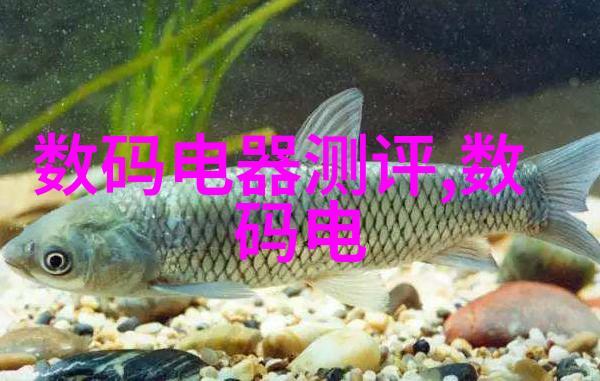 流水线输送设备-高效生产的关键流水线输送设备概述与应用分析