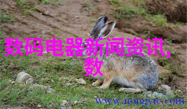 智慧引擎下的安全之旅保驾护航网的力量与魅力