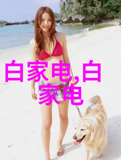 电力管道的精细世界探索CPVC材料壁厚规格之谜