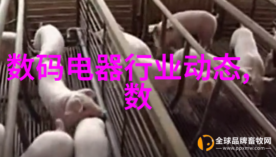 流淌的阴影与隐匿的光明pe排水管的秘密世界