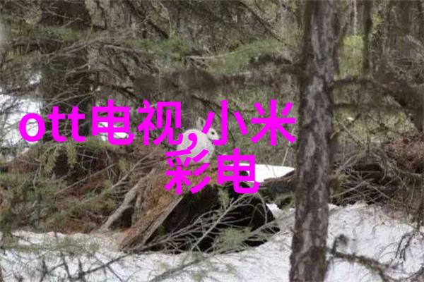不锈钢精密铸造工艺流程从原材料选定到成品检验的全过程解析