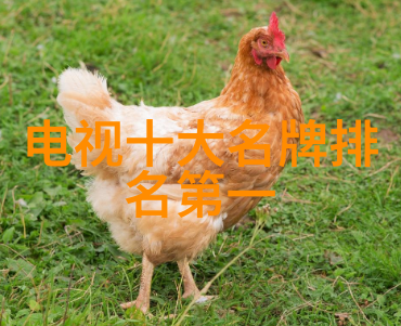 功能性与美观性的结合高端私人牙科诊所的装修设计方案