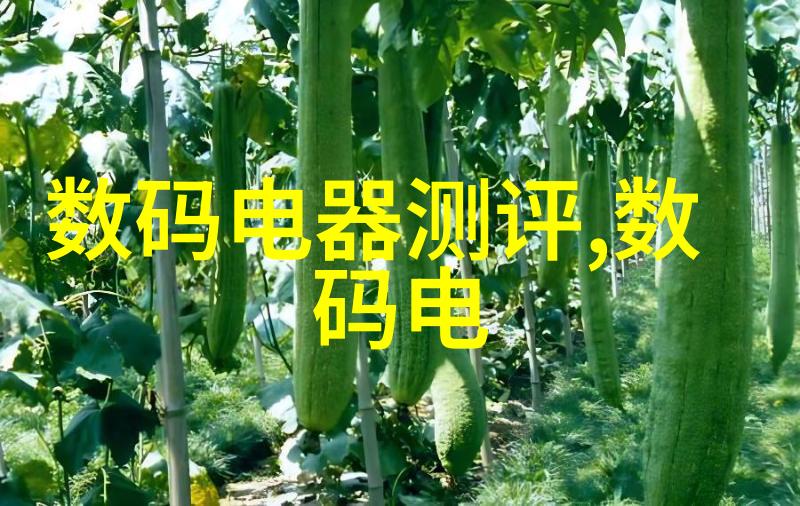 正规装修全包详细清单明细我是如何一步步把家里的装修工作做得井井有条