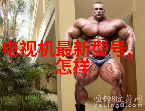国产存储芯片业涌现巨头揭秘十大企业的创新之道与市场潜力