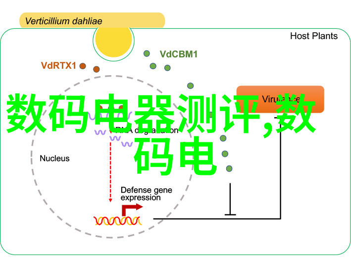 不锈钢卷材金属之韵的旋律编织