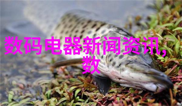 滚筒输送设备物流效率的无缝连接者