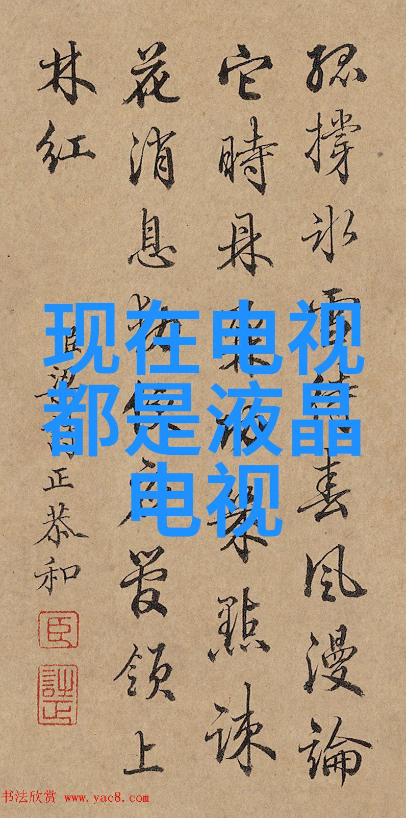 从大眼睛到灵魂揭秘女孩魅力的奥秘