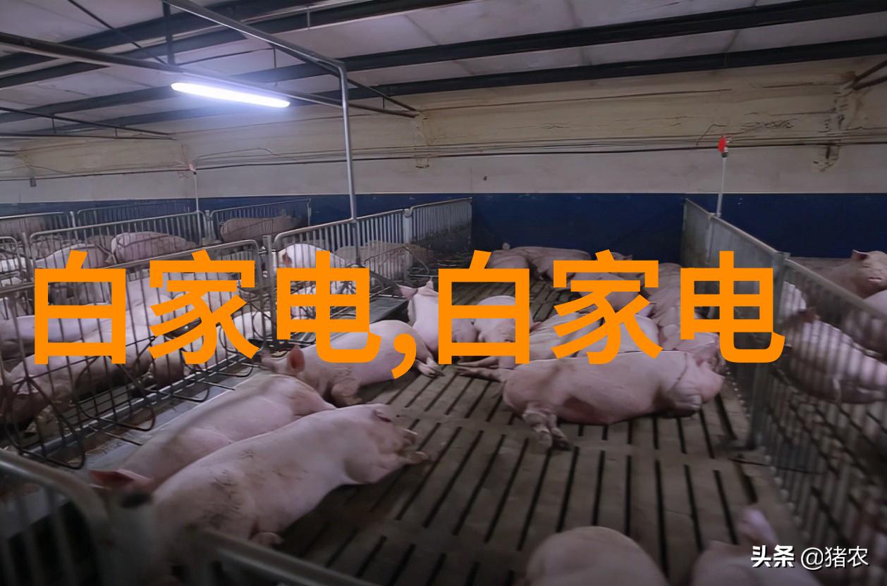 技术创新推动如何提升汽车配件的性能与安全性
