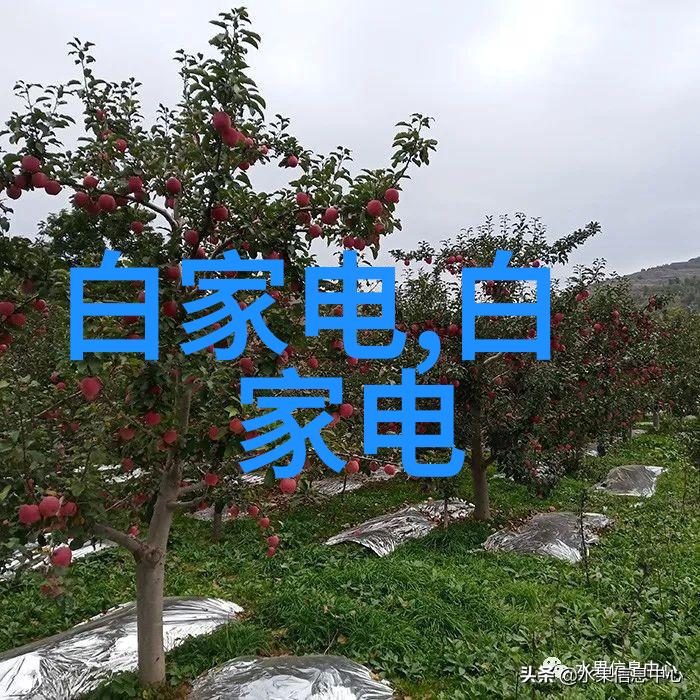 agr管材探秘揭开建筑领域中的重要材料之谜