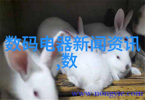 不锈钢波纹管制造工艺精细加工的艺术与技术