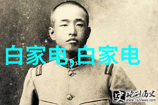 清洁之门卫生级隔膜阀的守护者