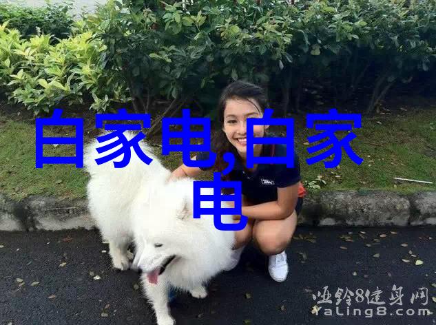 不锈钢304今日价格市场动态如何影响采购决策