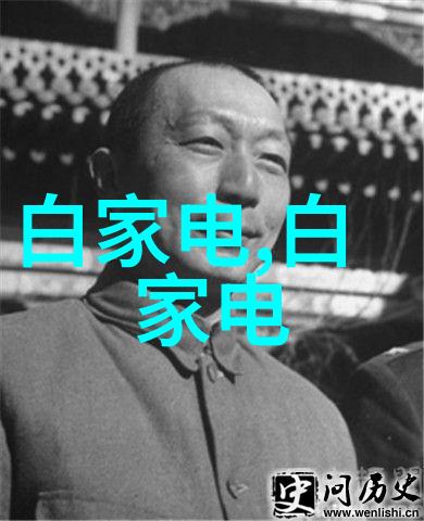 暖气换热器我是怎么发现我的老式电水壶其实是个暖气换热器