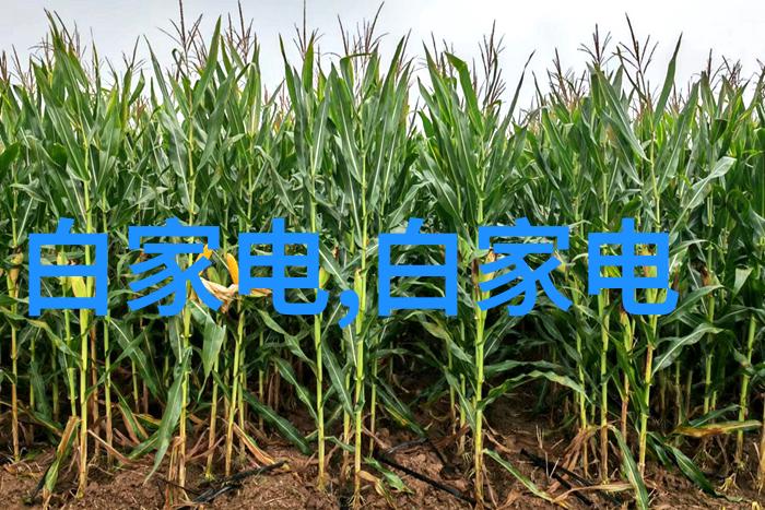 医院水处理设备确保清洁卫生的关键技术