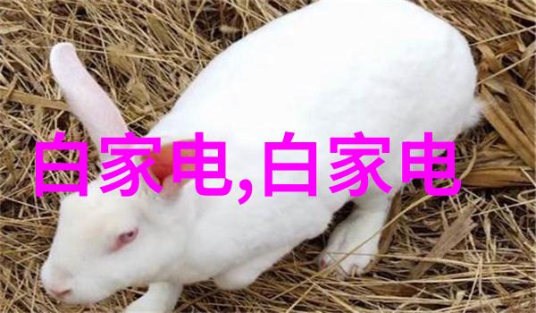 市面上提供的免费水质测试真的可靠吗值得信赖