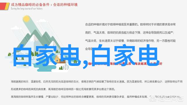 星际奇遇小王子txt免费下载