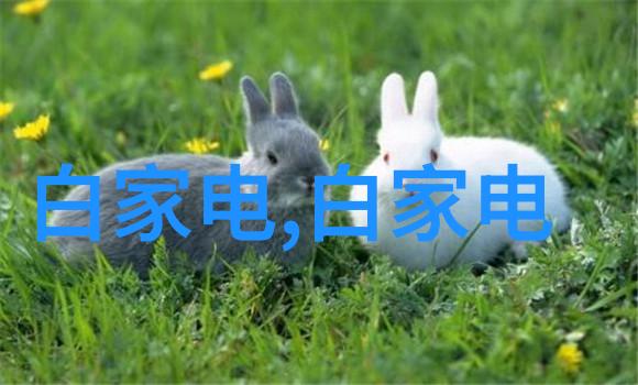 装修卧室效果图图片大全创意空间的完美体现