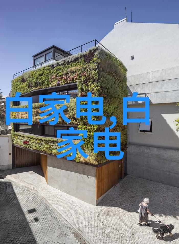 雷蒙机的振动探索磨粉行业的技术革新与应用前景