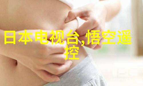 水力发电的翅膀水轮机的故事